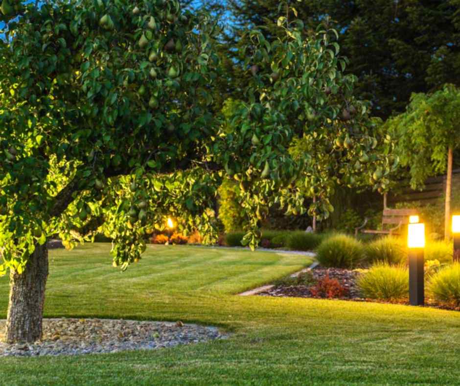 How-to-Safely-Illuminate-Your-Yard-1 How-to-Safely-Illuminate-Your-Yard